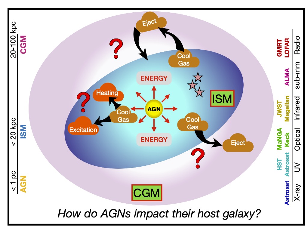 Multiwavelength observational view of galaxy gas cycles