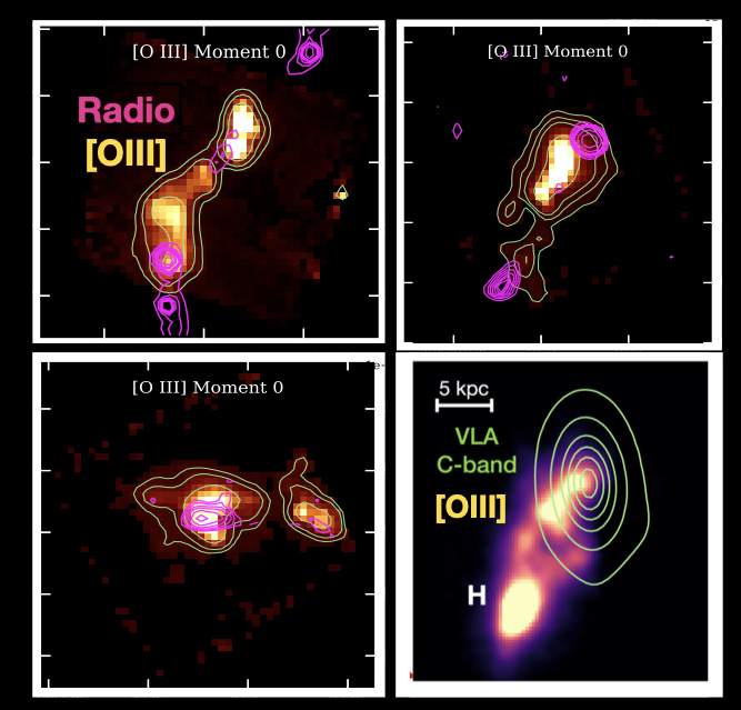 JWST and radio view of high-redshift radio-galaxy feedback