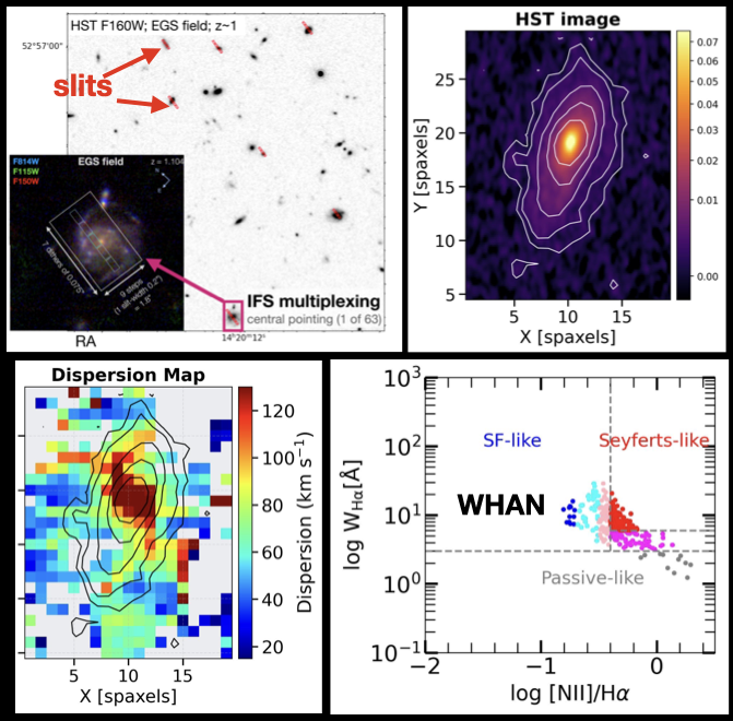 MSA-3D resolved ionization and kinematic maps