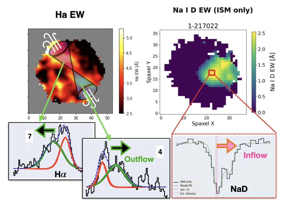 Red geyser feedback cycle: radio AGN, ionized wind, and cool gas inflow